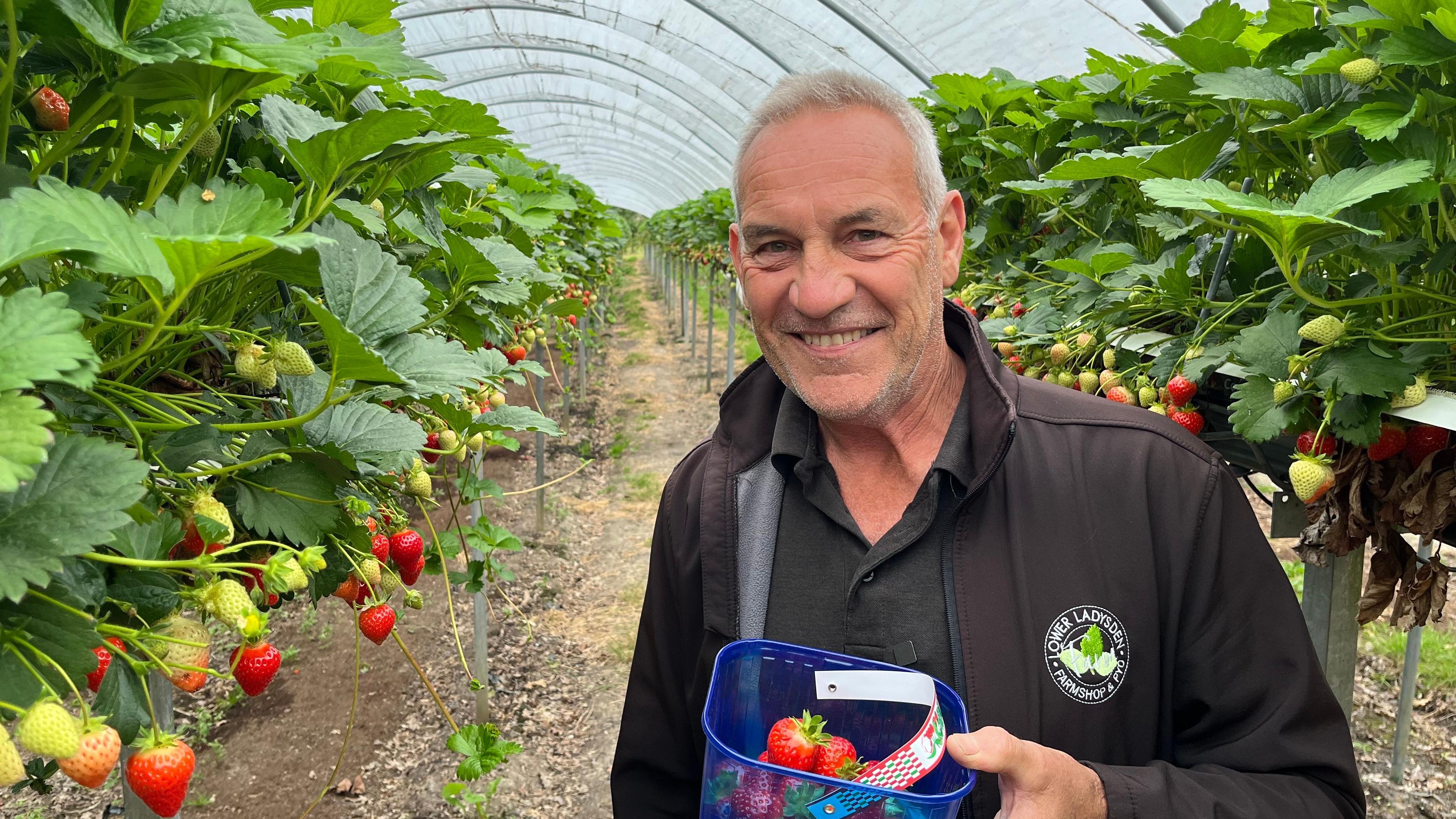 Visitors picking responsibly at strawberry farm